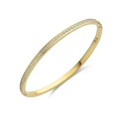 Armbanden>Melano Jewelery Melano Friends Hinged Armband