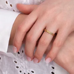 Ringen><noscript><img width=