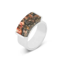 Ringen><noscript><img width=