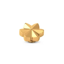 Steentjes><noscript><img width=