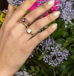Ringen><noscript><img width=
