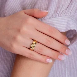 Ringen><noscript><img width=
