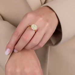 Ringen><noscript><img width=