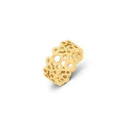 Ringen><noscript><img width=