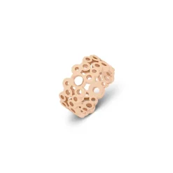 Ringen><noscript><img width=